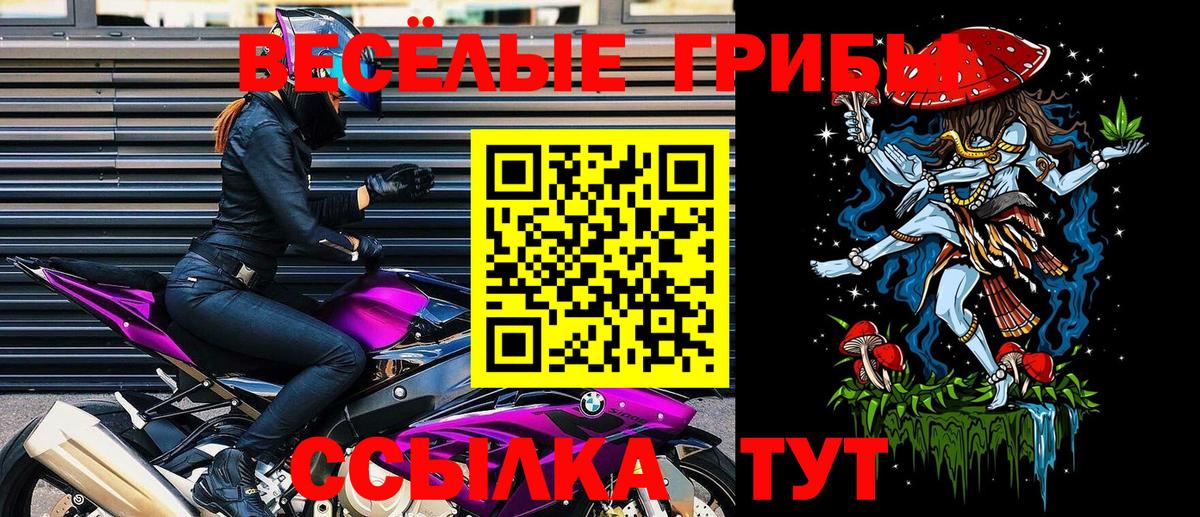 Заволжье  Псилоцибиновые грибы Cubensis  что такое наркотик  Вход с VPN 